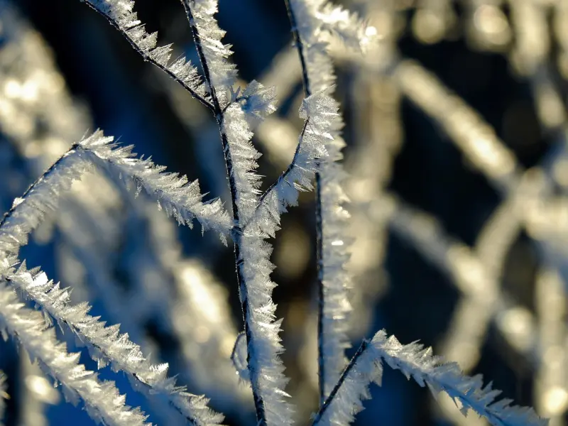 男人为什么会喜欢冷bl？冷bl的三个秘密你应该知道