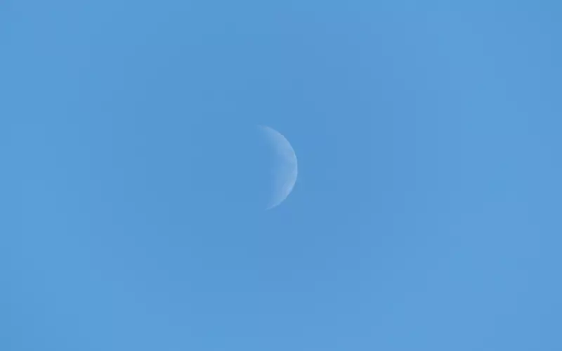 为什么越来越多的女人不想结婚？看图说话！