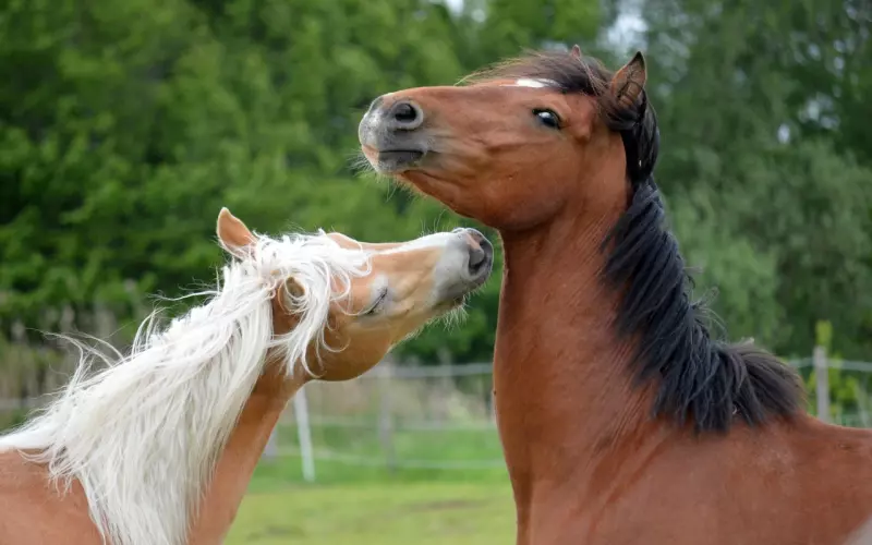 为什么大多数情侣分手后就很难做朋友了？