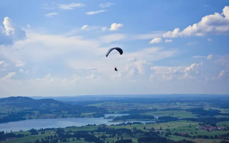 为什么刚结婚的男生会出轨前任(为什么女性会容易出轨前男友)