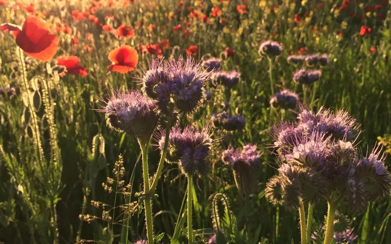 人为什么离婚，再没见过比这个还理性的回答了