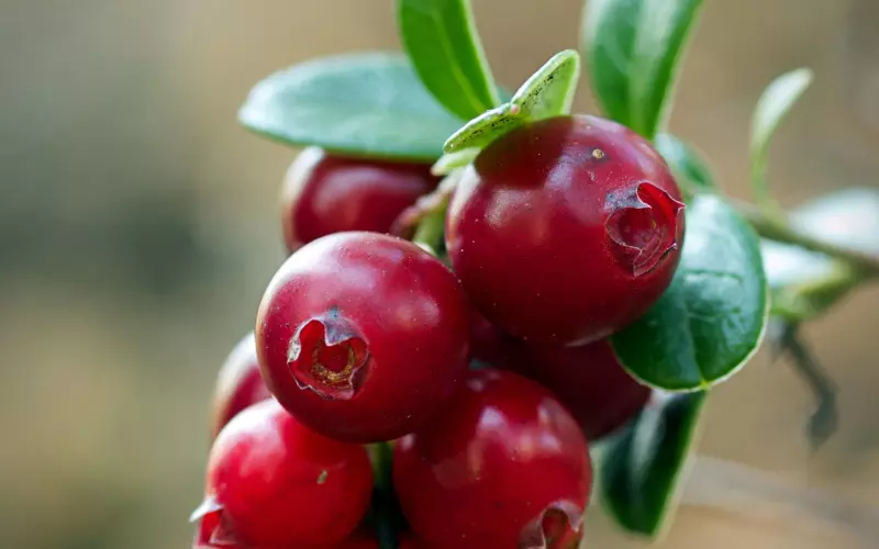 为什么情商越高的人，越懂得“麻烦”别人？