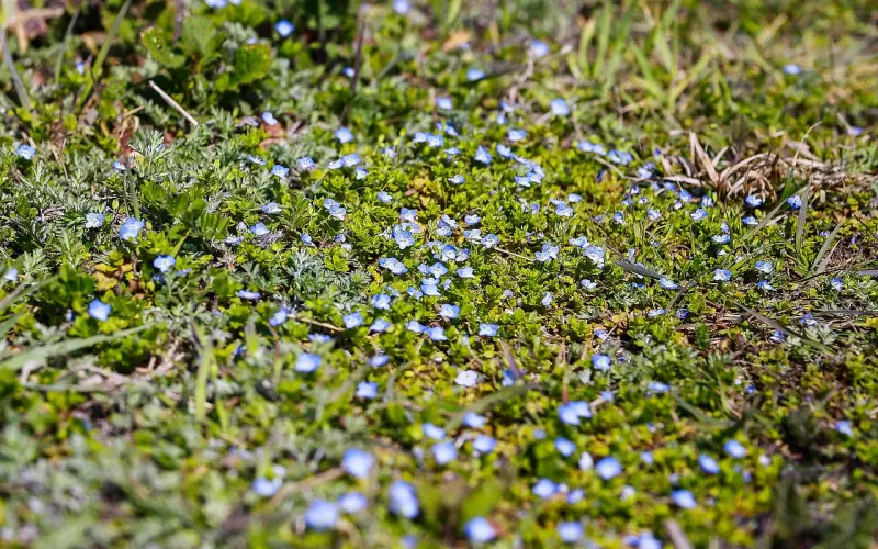 为什么有些情侣分手后还能做朋友？