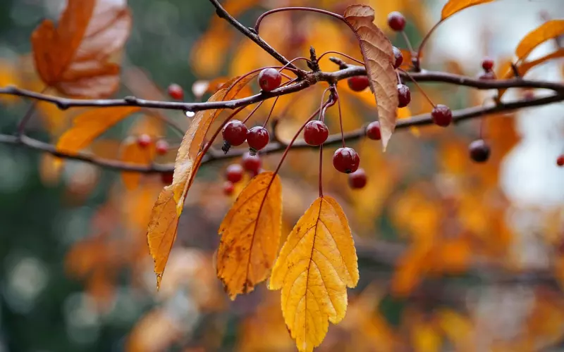 那些野、浪、贱的姑娘，为什么嫁得比你好？