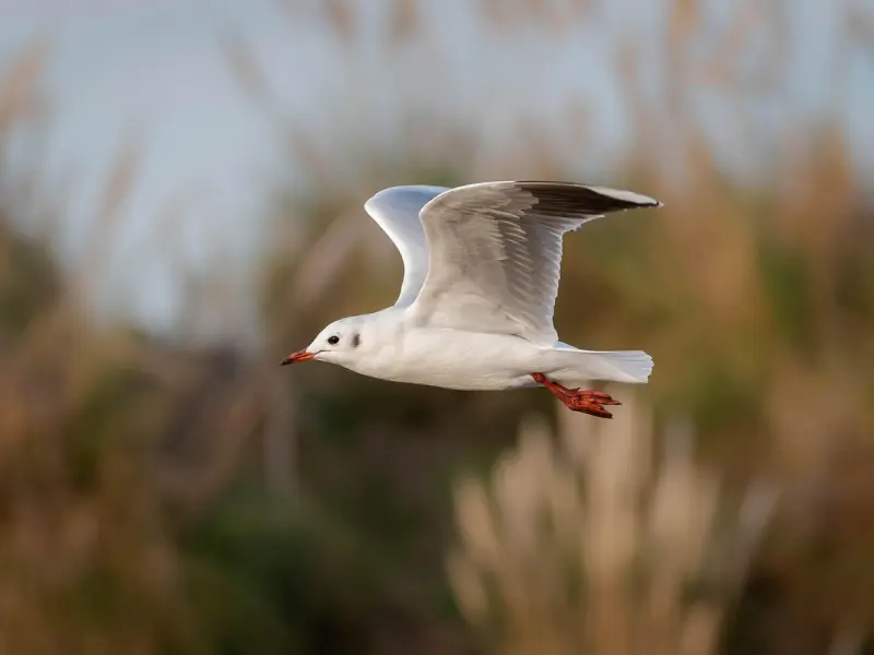 为何生活中的我们，总是会对最亲的人发脾气！
