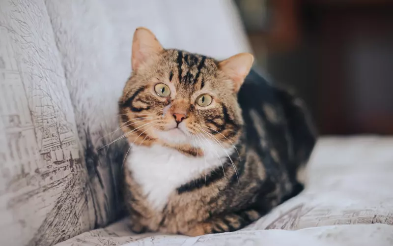 为什么你总是感觉别人家的老公更好