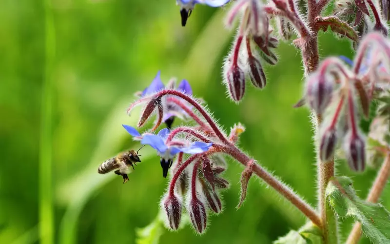 为什么你挽回男友总是碰壁，错误的挽回方法有哪些