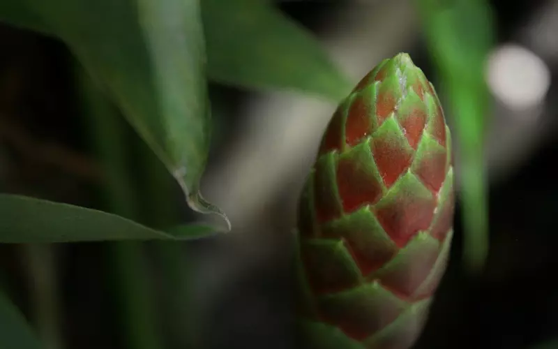 为什么你总会把挽回搞砸？