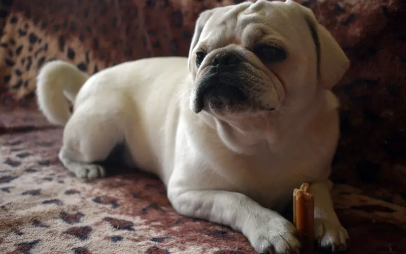 为什么你要活得那么拼？