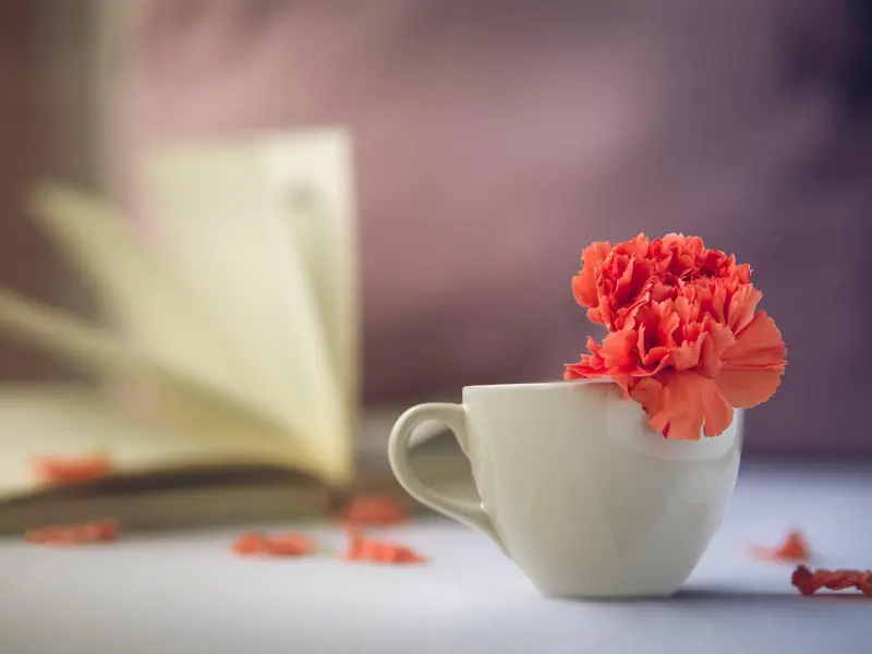 你为什么喜欢一个人？这是我听过最想哭的回答！