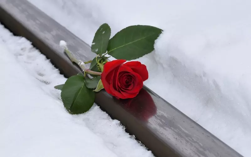 为什么你们那么爱还是分手