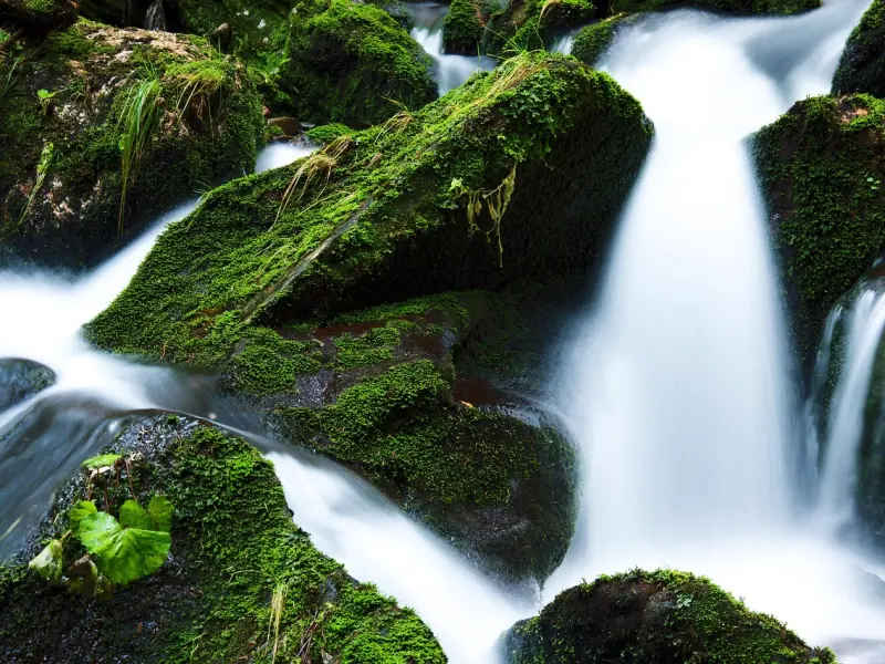 失恋为什么要断联才能挽回