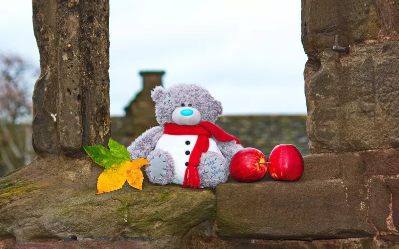 你恭请佛牌，是为了什么，入门必读