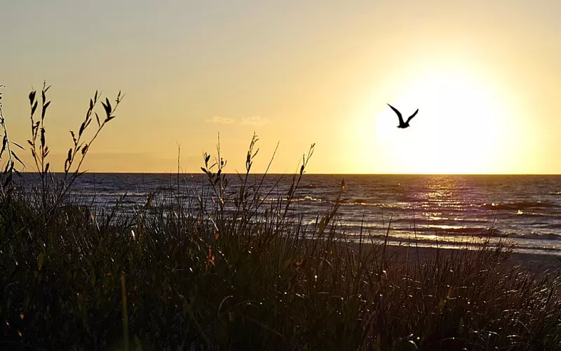 为什么尽力挽回还是会失败?也许是因为犯了这些错!