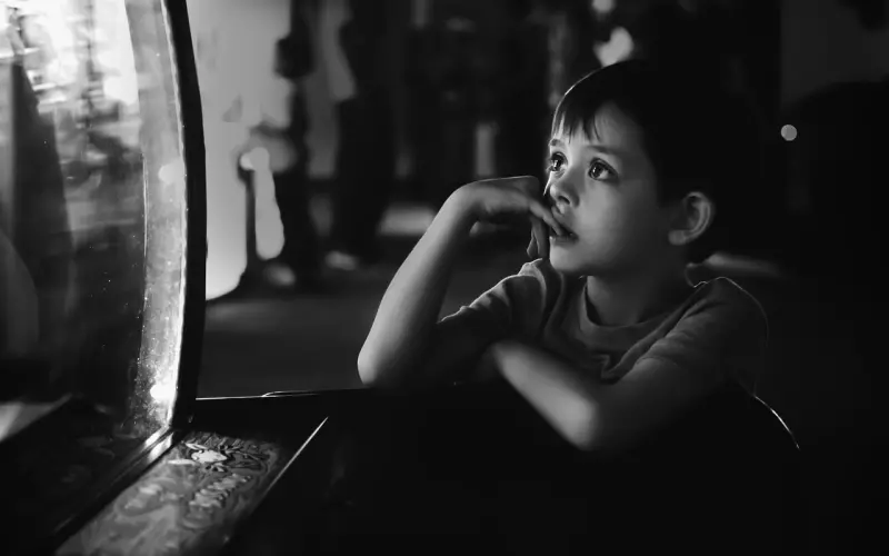 不够冷静的你，凭什么认为能挽回前任成功