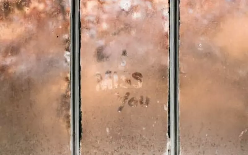 失恋后为什么希望对方过不好(失恋后要进行下一段感情吗)