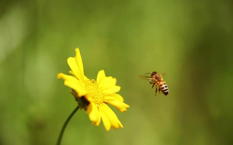 你的挽回为什么总是失败？