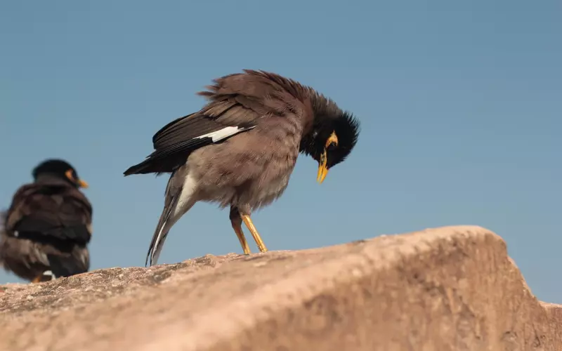 为什么他总是抗拒你的挽回？