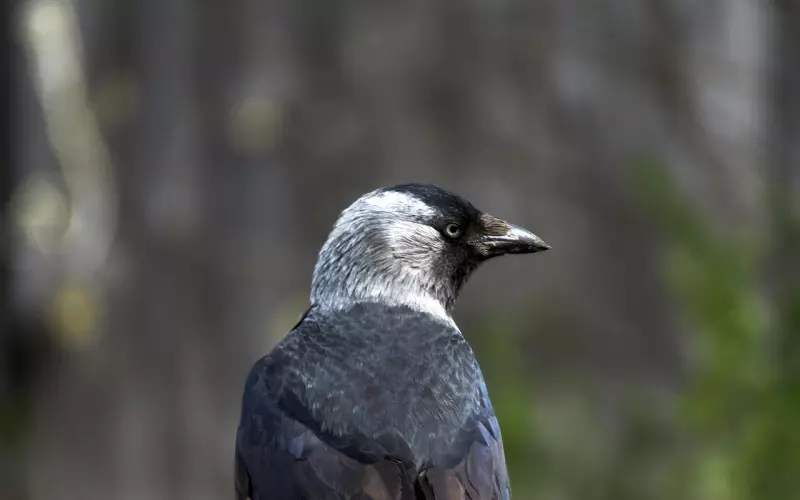 为什么每次吵架他都喜欢冷战？