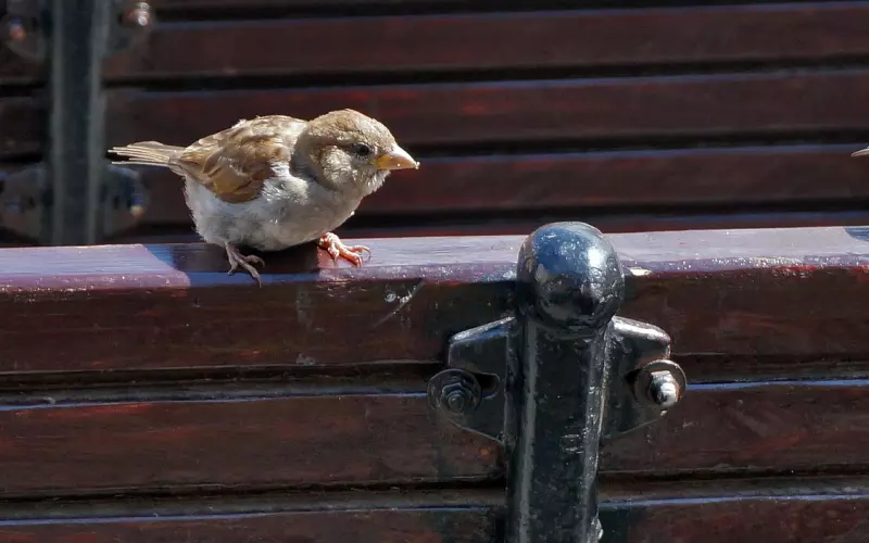 挽回男友之 为何他会排斥我