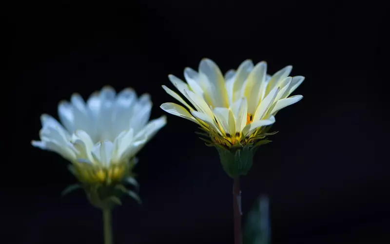 老公为什么精神出轨，如何挽留老公的变心？