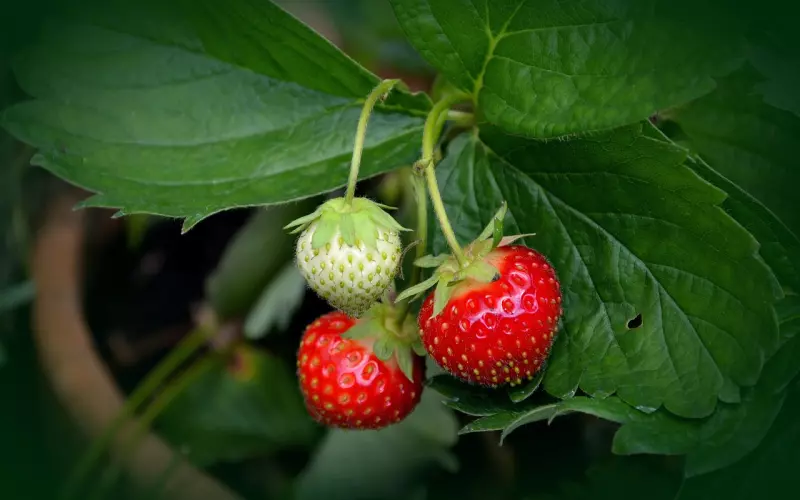 为什么她总说你不成熟？