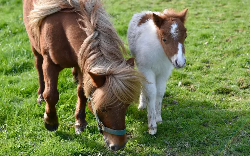 为什么你的爱情来得快去得也快？