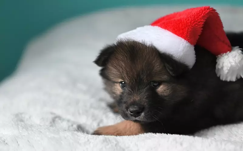 为什么男人分手后与你聊天却不挽回你？