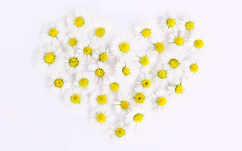 为什么别人不把你当一回事儿，句句戳心！