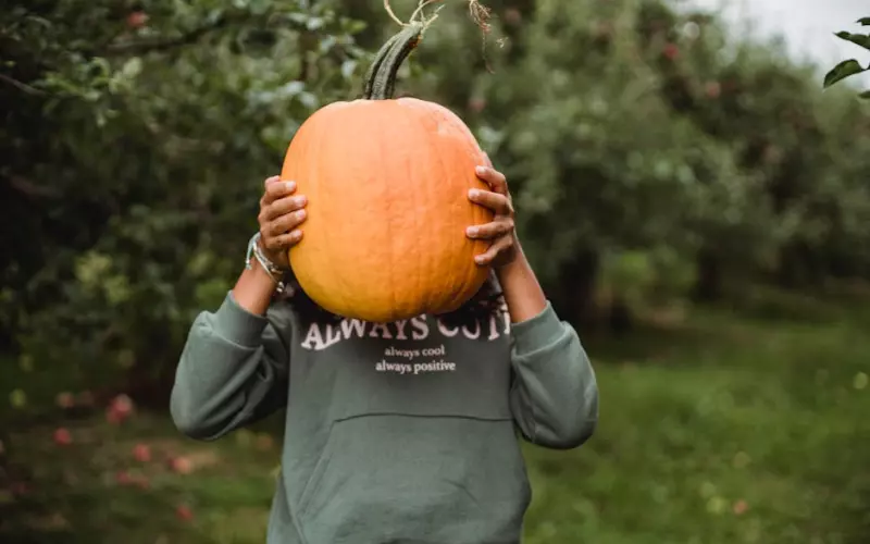 婚外情为什么总是断不了(婚外情为什么总是难断)
