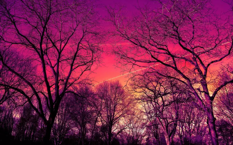 为什么他还对前任念念不忘？怎么挽回和前任纠缠不清的对象