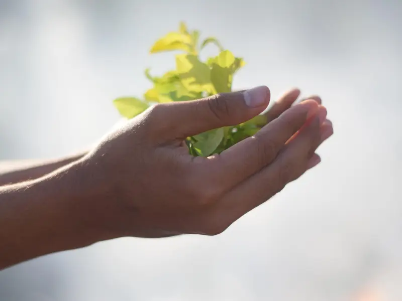 为什么网络恋爱不如尽快“奔现”？