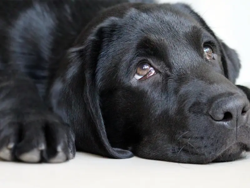 为什么说面对分手，要有一种洒脱的心态呢？