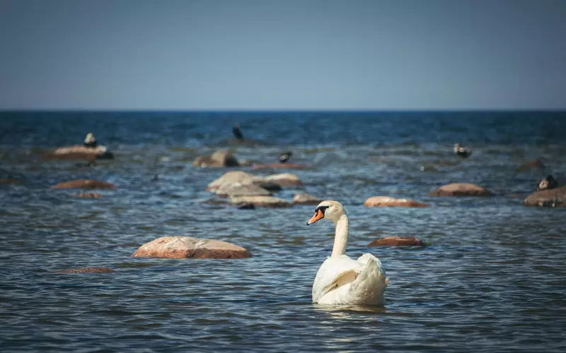 为什么说二婚家庭的日子难过好？