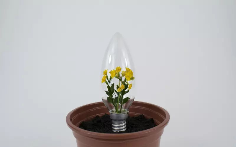 男人为什么很难忘记初恋呢