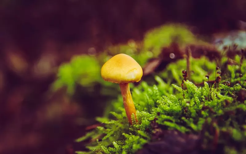 有钱的男朋友为什么很难挽回