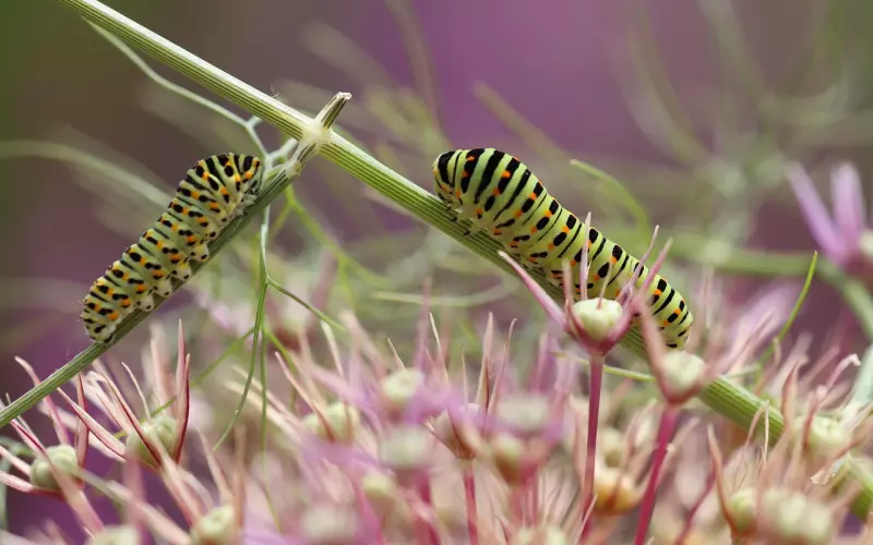 为什么越是努力挽回，对方越是逃避你？