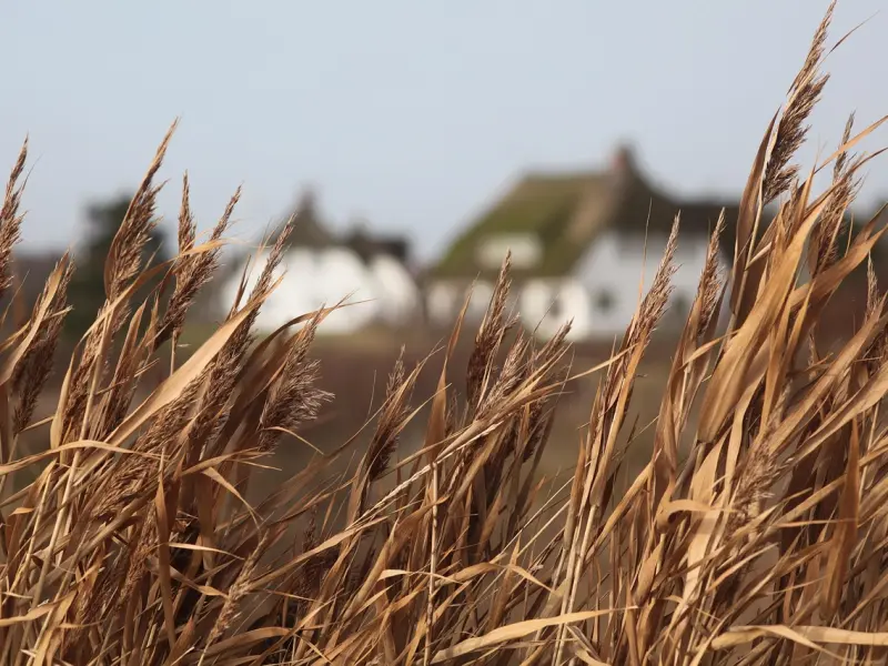 男方提出分手后为什么会那么绝情？