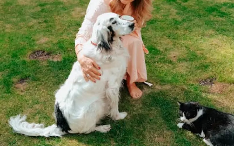 夫妻中小三为啥称作小三(婚外情中小三和出轨男谁更坏)