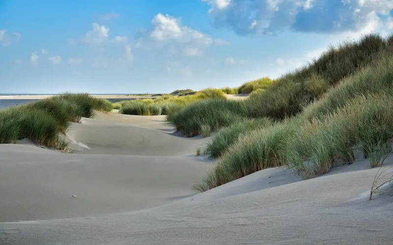 《何以笙箫默》：最穷剧组打造无价爱情