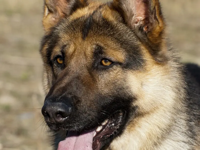 为什么你们的爱情没有进展？---女学员与大叔的爱恨情仇