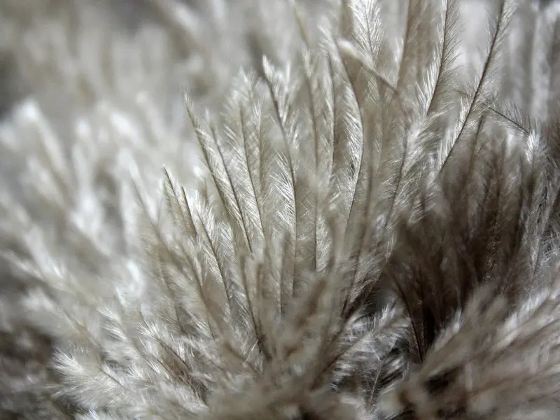 你们的婚姻为什么会变得如此脆弱？这5点绝不容忽视！