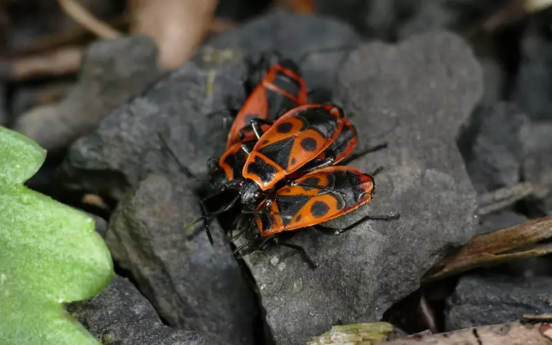 为什么“爱”会变成讨厌.