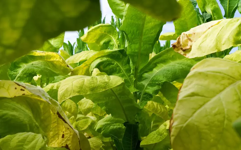 为什么不挽回呢？这样的人挽回前任很容易成功！