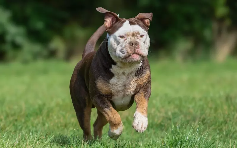 为何我要开心?到底开心对於我挽回有何帮助