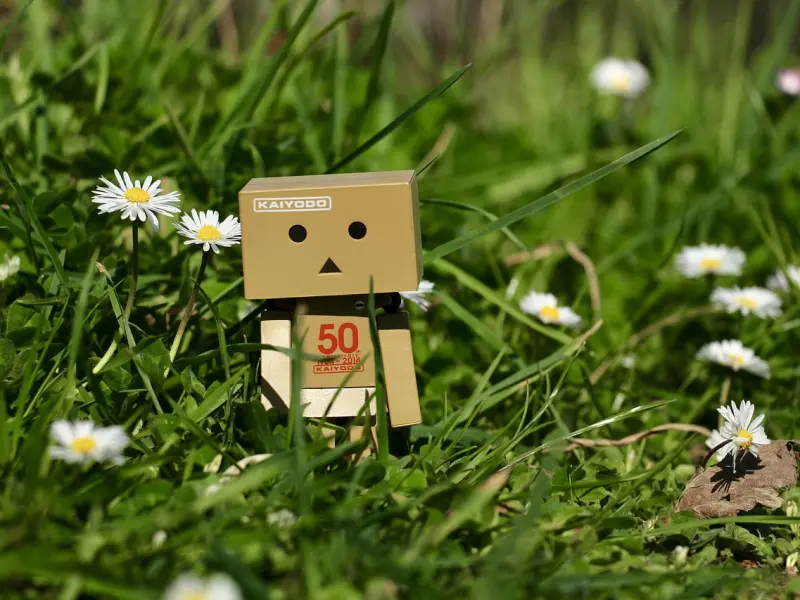 我们为什么要挽回？迷茫者必看