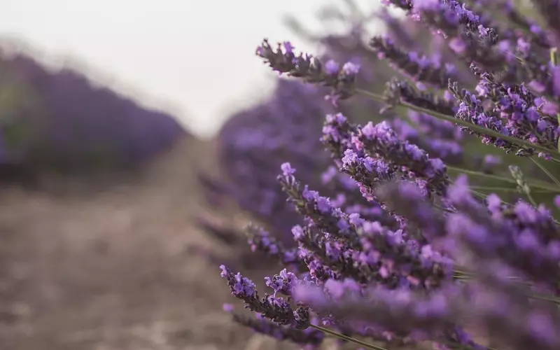 分手后挽回爱情为什么要冷处理