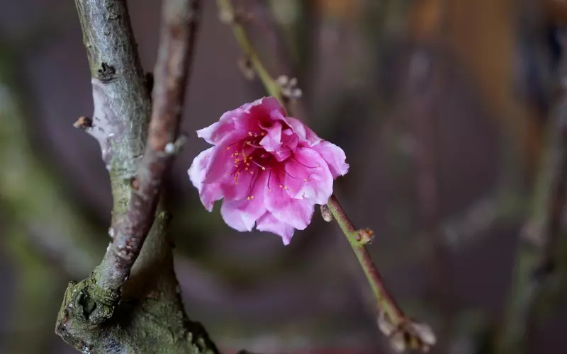 为什么你越想挽回男友越挽回失败