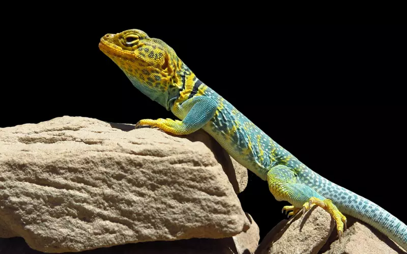 天秤座会因为什么理由分手：接受不好的结局只为保留曾经那份美好