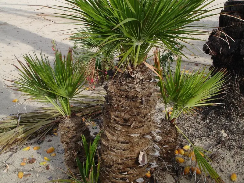 ❤老婆，辛苦了